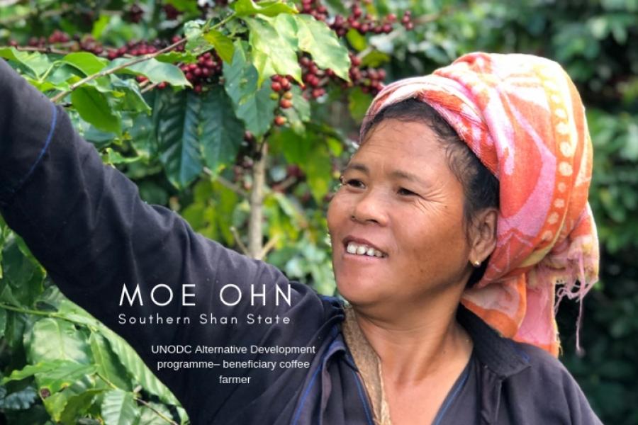 Coffee grower Moe Ohn, Myanmar