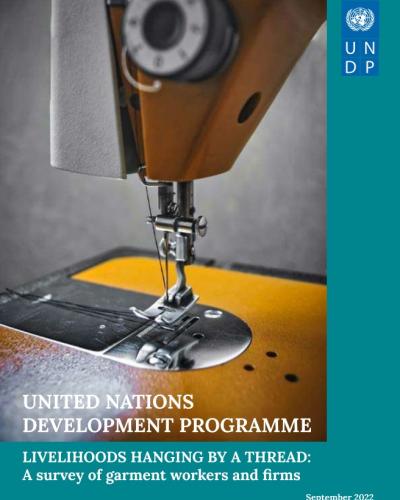 UNDP Report