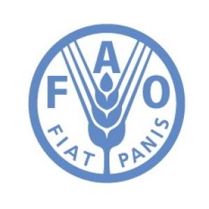 FAO Myanmar